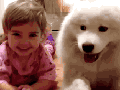 Partners in crime