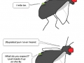 The joy of puns