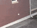 Parkour fail