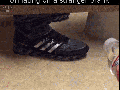 P** prank