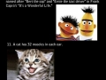 Weird facts