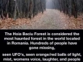 Hoia Baciu forest