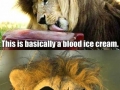 Bada** ice cream flavour