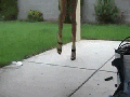 High heels win