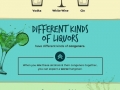 Science of hangovers