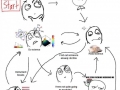 Public perception of science