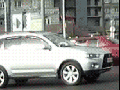 Man saves a kitty!