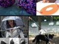 Useless gadgets