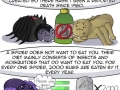 Truth about spiders