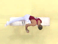 Pommel horse