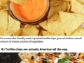 Nacho facts