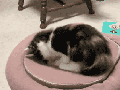 Playing with portals
