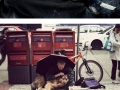 Homeless dog owners