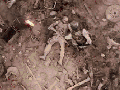 Powerful gif