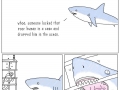 Shark rescue