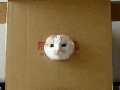 Prison cat