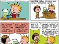 Calvin & Hobbes 1993