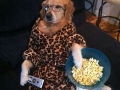 This dog has no idea
