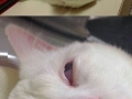 Most awful sleeping face