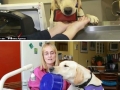 This dog is a boss