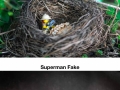 Lego's epic adventures pt.2