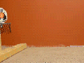 Ratsketball