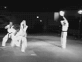 Bada** karate kick