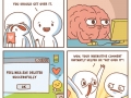 Emotional support