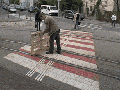 Riding on a pallet