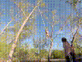 Rope swing fail