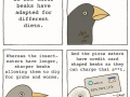 Adaptation