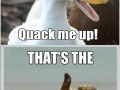 Heard you guys like puns