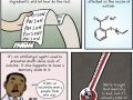 Vaccines work