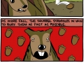 Crazy squirrels