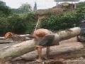 Strongest man alive