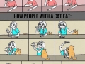 Cat owners will know