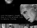 What Harry Potter taught us