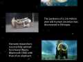 This year so far in science