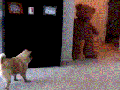 Scared the s**t out of him
