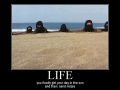 Life