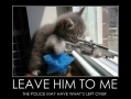 Leave him to me