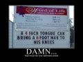 Damn