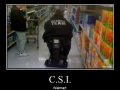 CSI