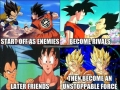 True bro story