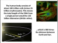 DNAmazing facts