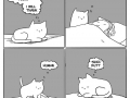 True cat love