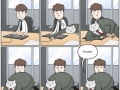 Business Cat