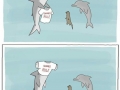 Sharks rule!