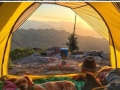 Camping with dogs
