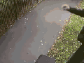 Look at the kid's moves